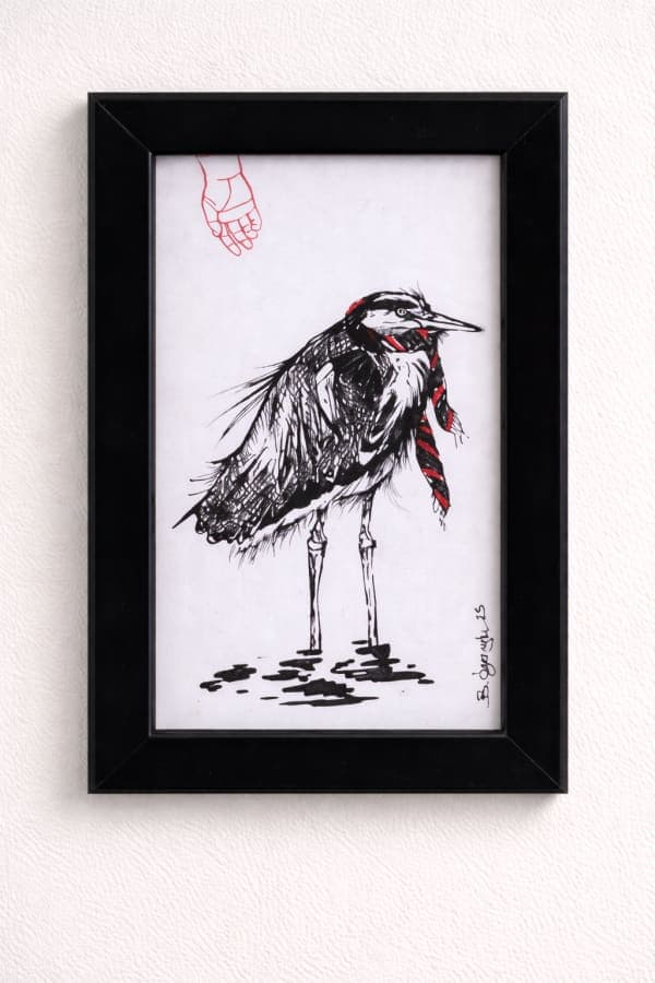 Sola Yakın Bir Gri Balıkçıl